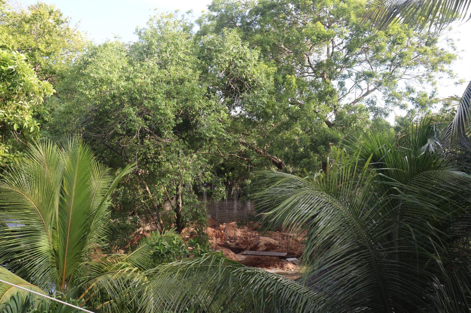 Gatetrees Resort Jaffna Exterior photo